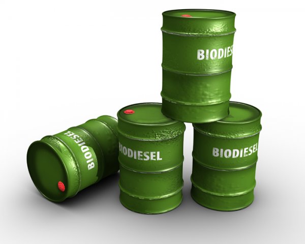 Что такое биодизель?